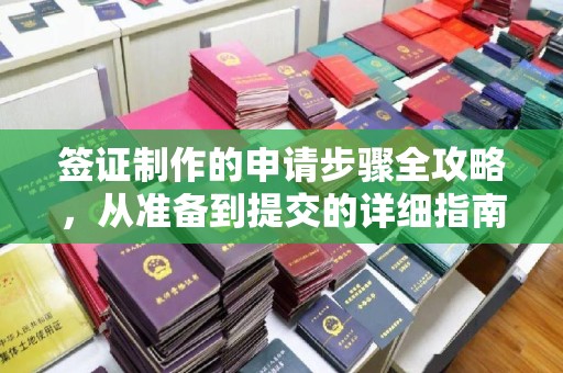五营签证制作的申请步骤全攻略，从准备到提交的详细指南