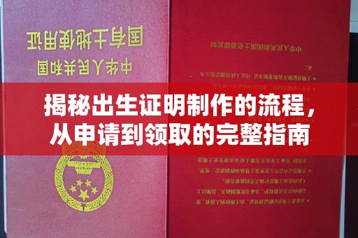 五营揭秘出生证明制作的流程，从申请到领取的完整指南